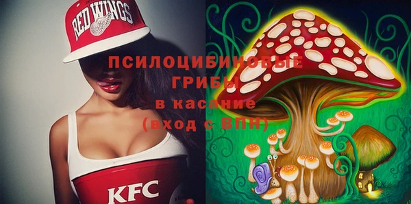 не бодяженный Алексин