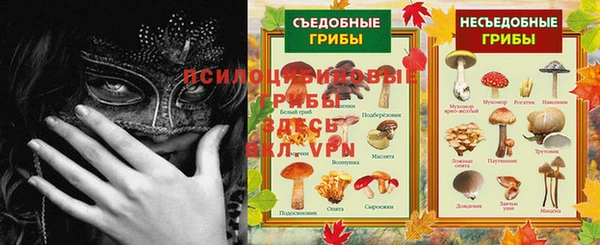 не бодяженный Алексин