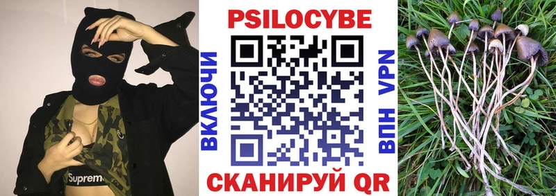 Галлюциногенные грибы MAGIC MUSHROOMS  даркнет наркотические препараты  Щёлкино 