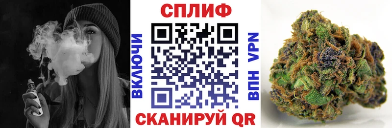 Канабис план  Щёлкино 